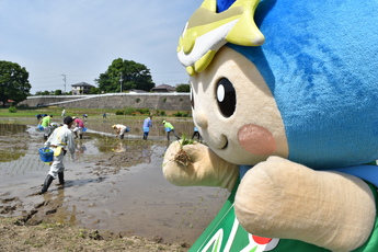 なかちゃんも田植えのお手伝い