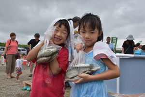 鮎とマスのつかみどり