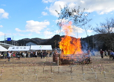 健武どんど焼き