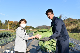 馬頭高校巨大キャベツ初出荷