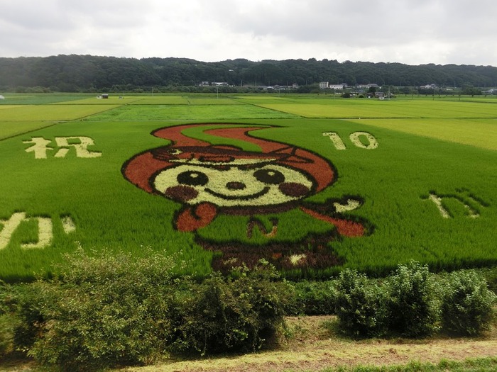 なかちゃん（8月16日）