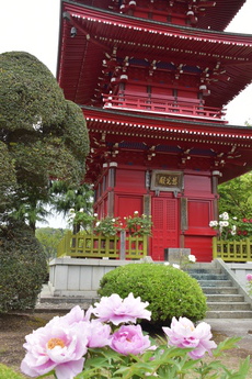 花の風まつり(長泉寺)