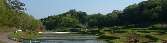 小砂地区の棚田